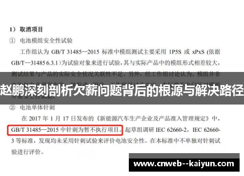 赵鹏深刻剖析欠薪问题背后的根源与解决路径