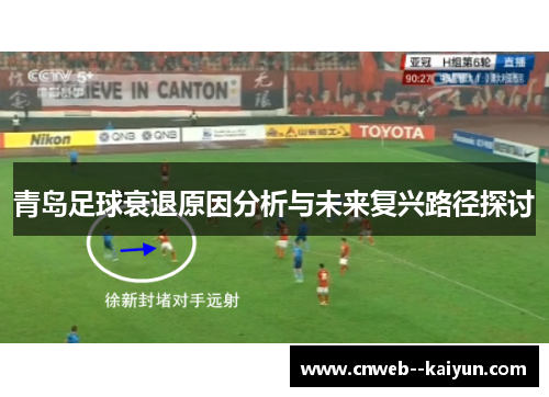 青岛足球衰退原因分析与未来复兴路径探讨